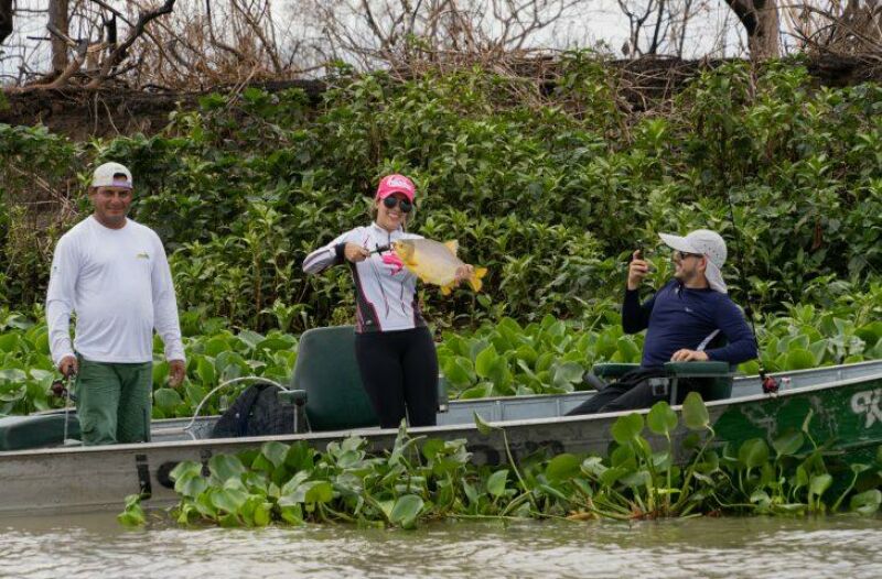 Imagem ilustrativa da matéria Mato Grosso do Sul participa da maior feira de pesca esportiva do Brasil em São Paulo